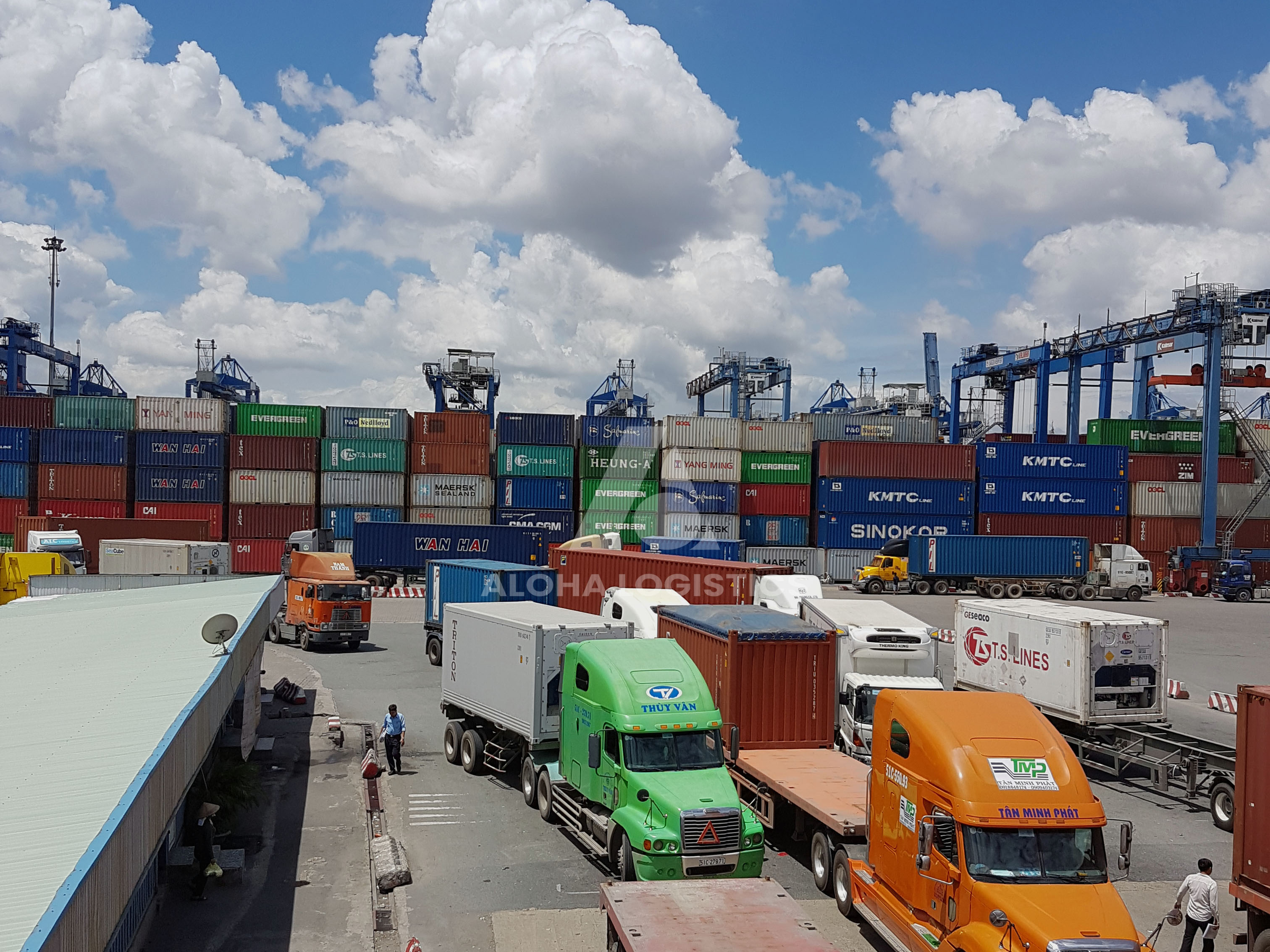 APPLYING IT IN 100% OF CUSTOMS STATISTICS OPERATIONS.