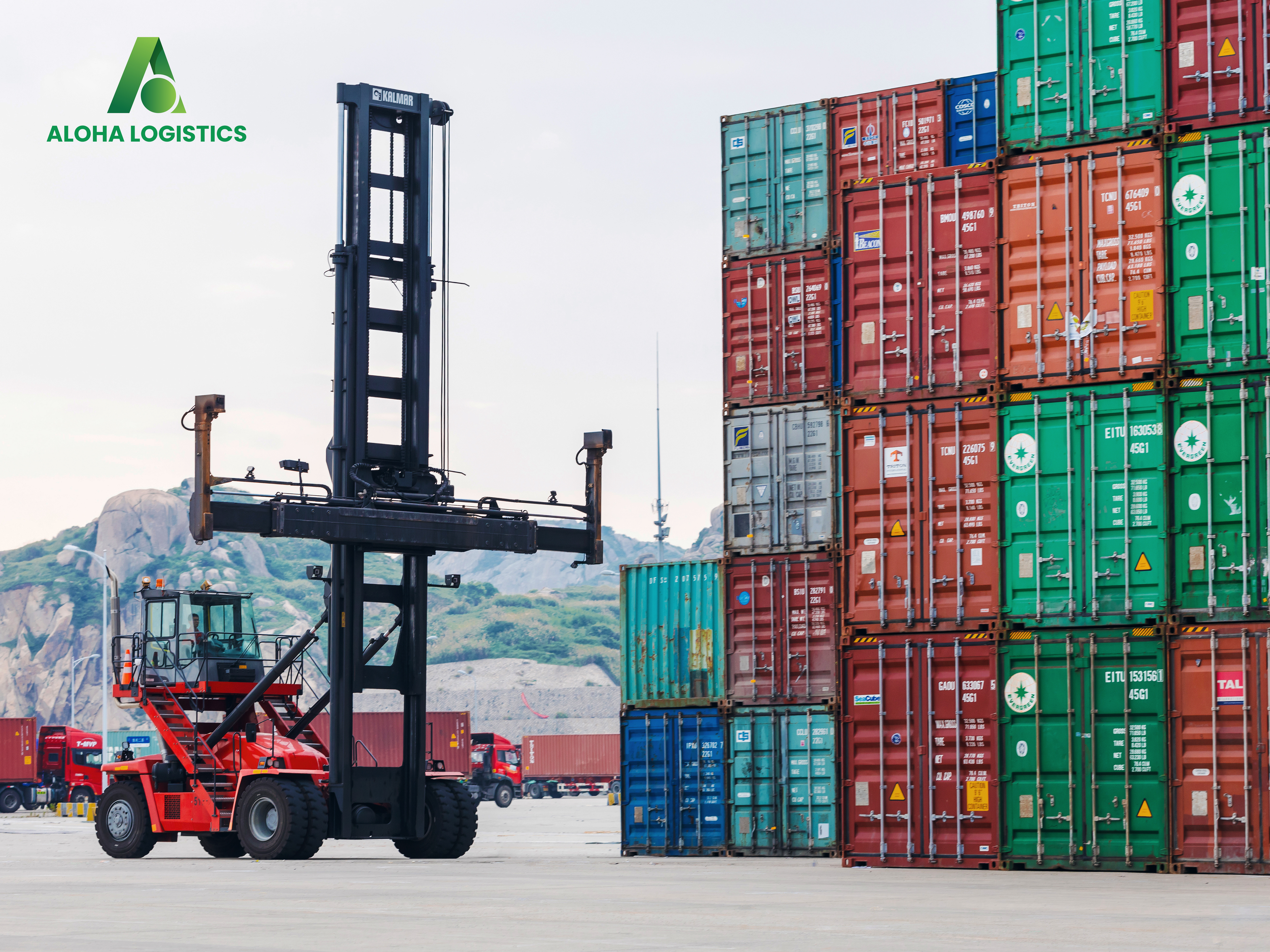 CARRIER RESULTS COULD FALL UP TO 70% IN THE FOURTH QUARTER: ALPHALINER - ALOHA LOGISTICS 