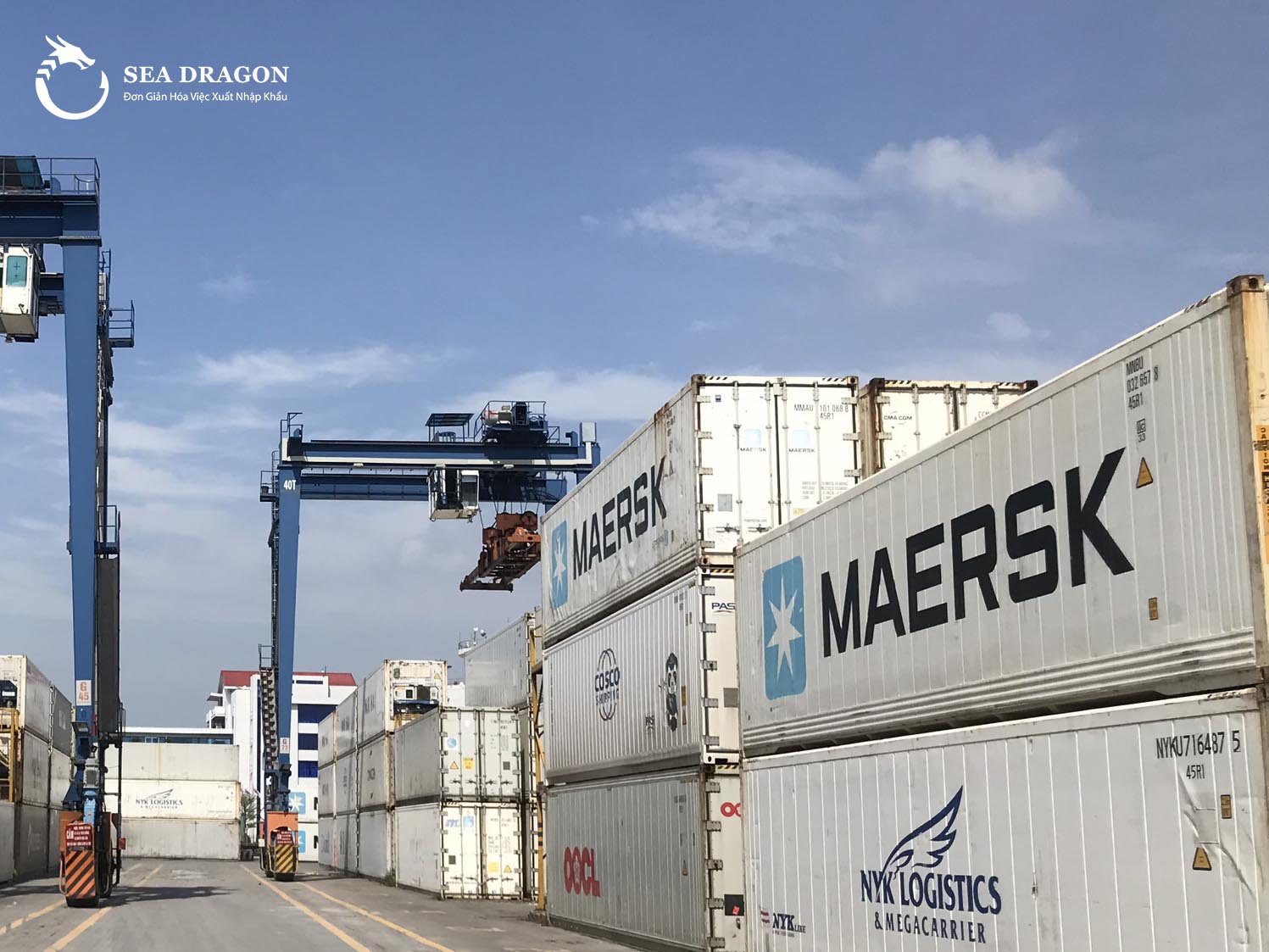 MAERSK LINE OPENS A FIXED CONTAINER SHIPPING ROUTE FOR QUANG NINH PORT - aloha logistics
