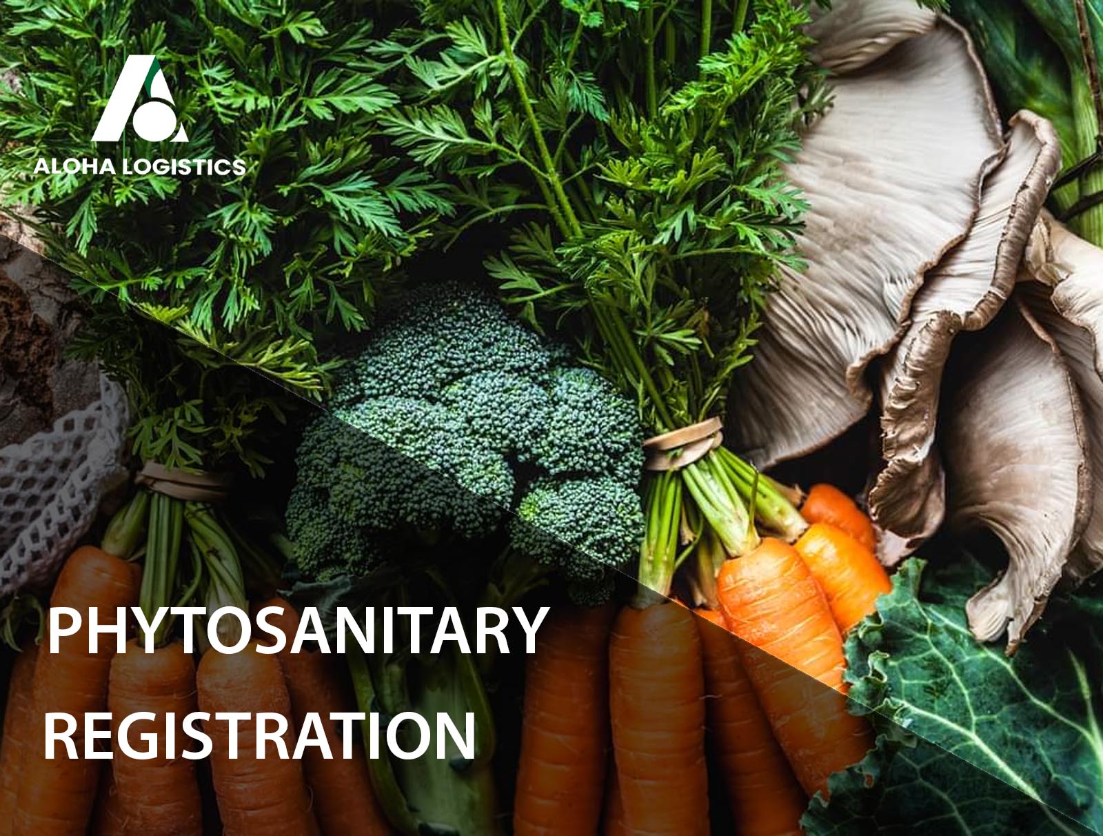Phytosanitary regisstration