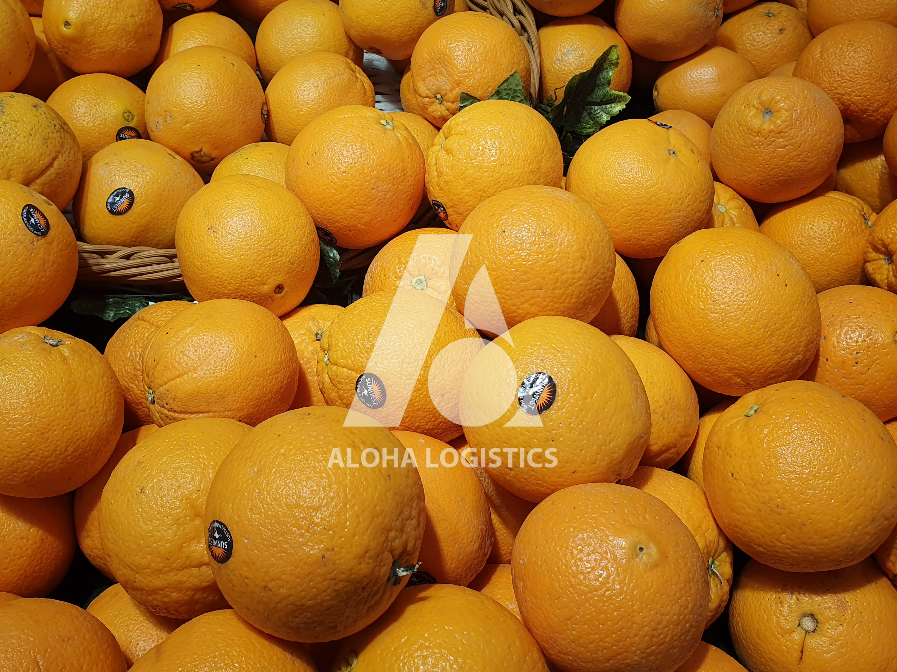  PROCEDURE OF IMPORTING FRESH FRUIT INTO VIETNAM