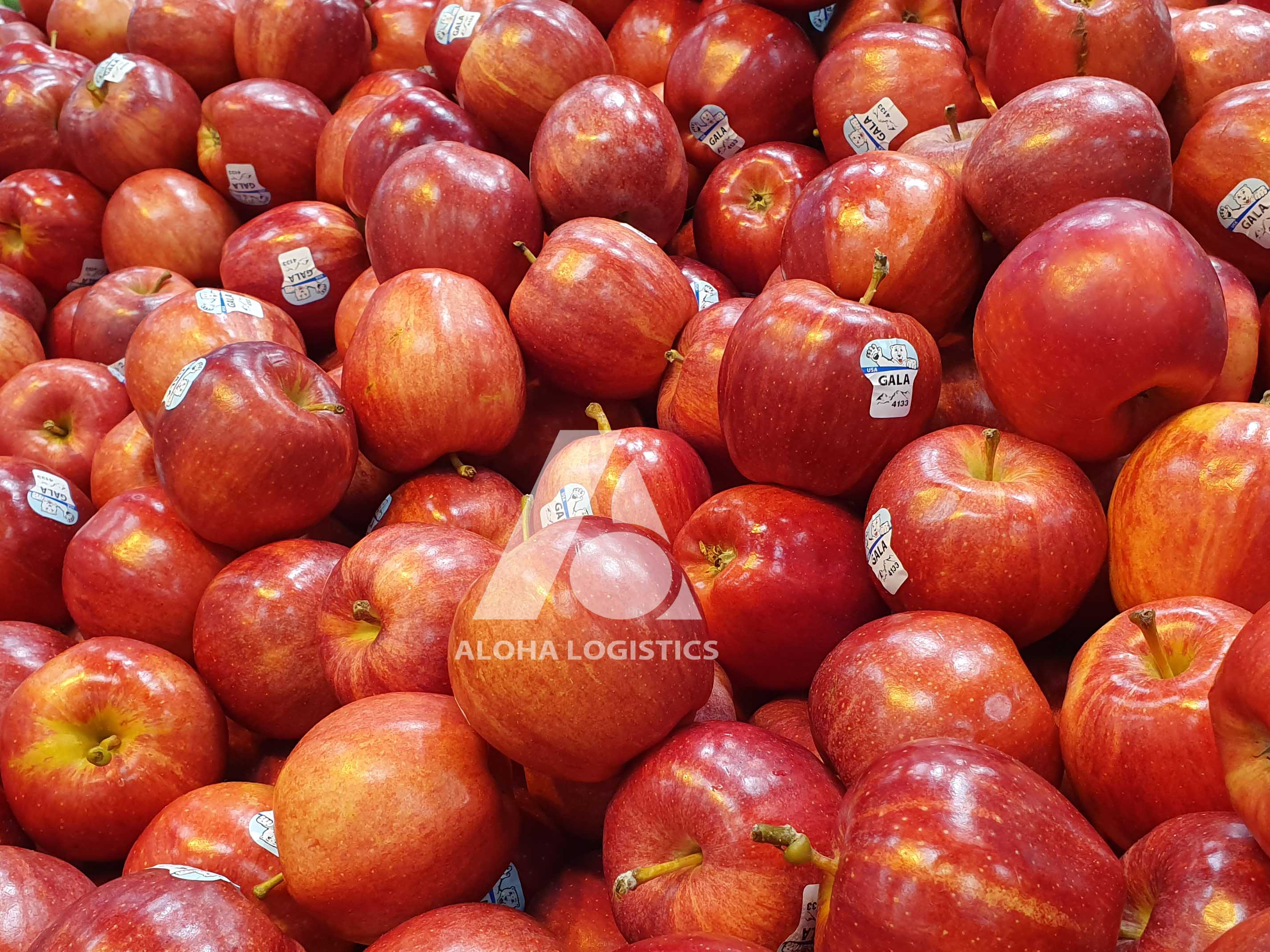  PROCEDURE OF IMPORTING FRESH FRUIT INTO VIETNAM