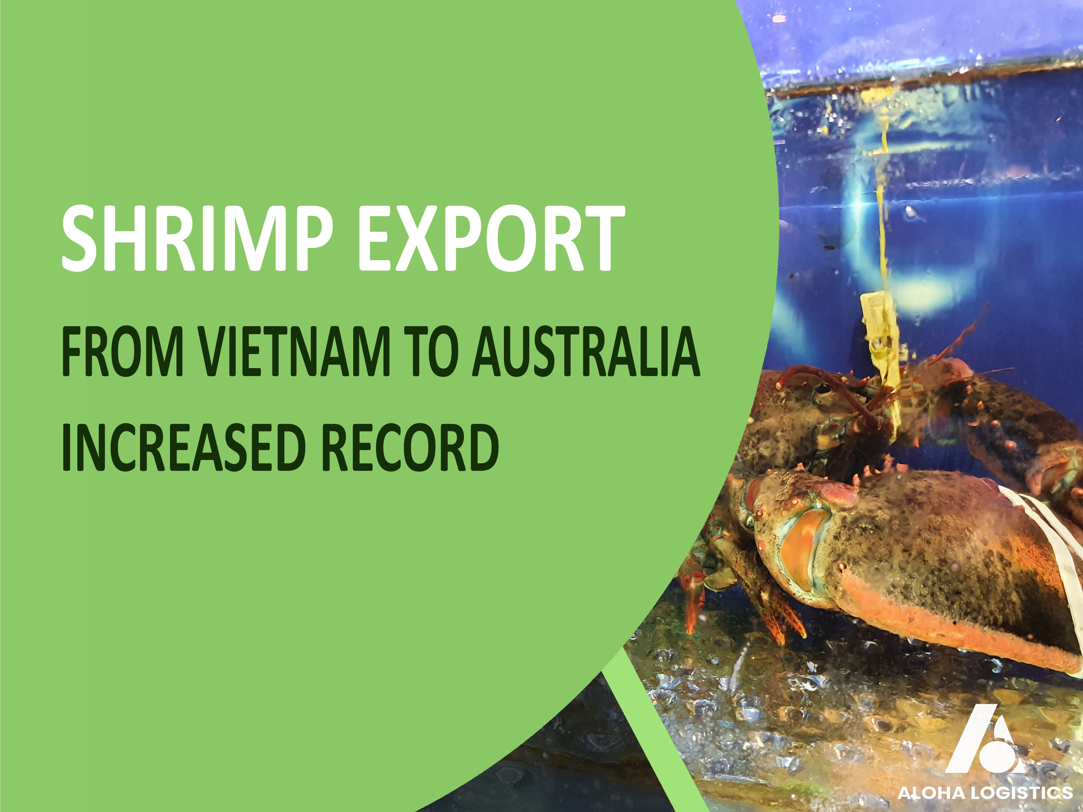 SHRIMP EXPORTS FROM VIETNAM TO AUSTRALIA INCREASED RECORD - ALOHA LOGISTIC